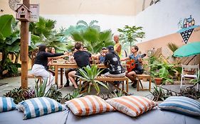 Jungle House