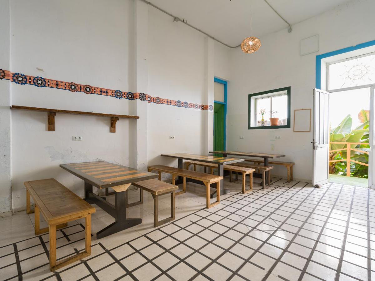Jungle House Hostel Las Palmas de Gran Canaria Exterior photo
